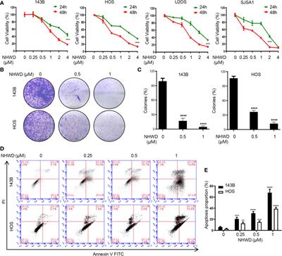 Bromodomain Inhibition Attenuates the Progression and Sensitizes the Chemosensitivity of Osteosarcoma by Repressing GP130/STAT3 Signaling